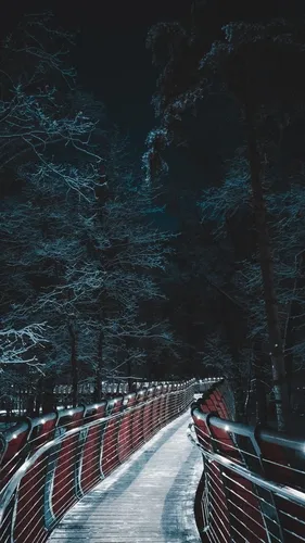 Зима Природа Обои на телефон мост с красными перилами и деревьями по обе стороны