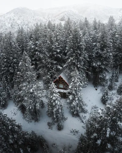 Зима Природа Обои на телефон дом в заснеженном лесу