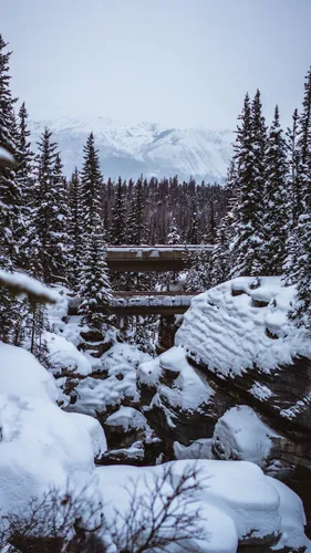 Зима Природа Обои на телефон снежный лес с деревянной конструкцией