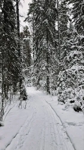 Зима Природа Обои на телефон фото на андроид