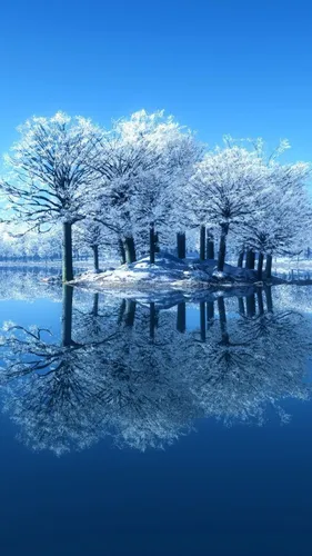 Зимние Hd Обои на телефон снежный пейзаж с деревьями и водой