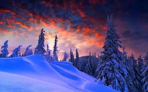 Зимние Hd Обои на телефон снежный пейзаж с деревьями и огнем на заднем плане