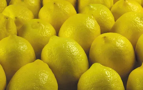 Лимонные Обои на телефон куча лимонов