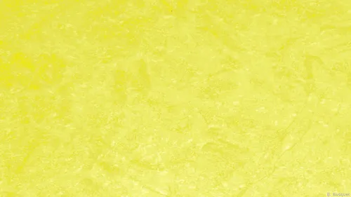 Лимонные Обои на телефон крупный план желтой поверхности