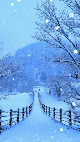 Full Hd Зима Обои на телефон снежный пейзаж с забором и деревьями