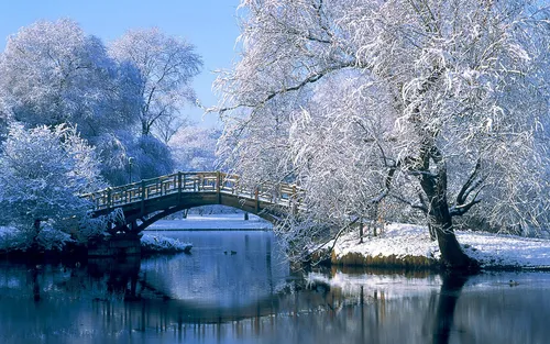 Full Hd Зима Обои на телефон мост через водоем с деревьями по обе стороны