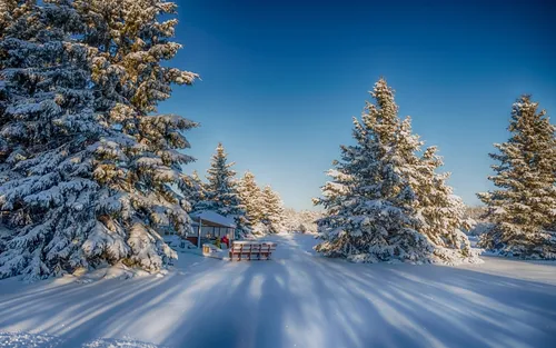 Full Hd Зима Обои на телефон снежный пейзаж с деревьями и домиком