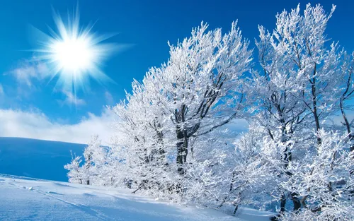 Full Hd Зима Обои на телефон снежный пейзаж с деревьями и голубым небом