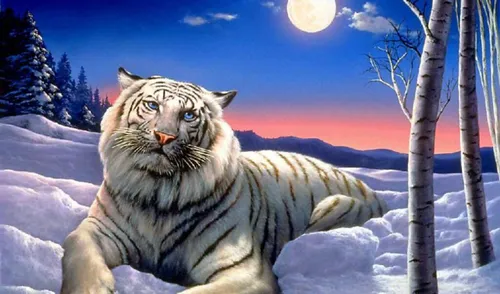 Анимация Обои на телефон тигр, лежащий в снегу