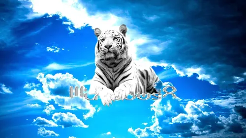 Анимация Обои на телефон белый тигр на лодке