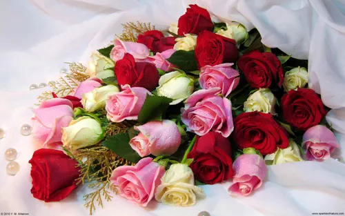 Букеты Цветов Обои на телефон букет роз