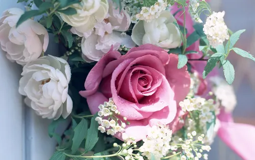 Букеты Цветов Обои на телефон розовая роза в окружении белых цветов