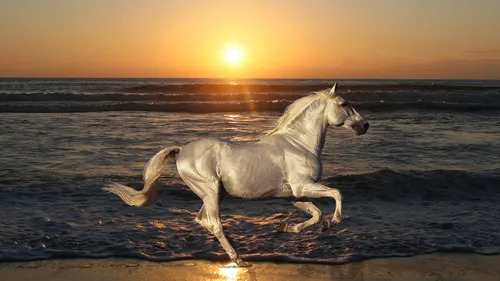 Лошади Красивые Обои на телефон лошадь, бегущая по пляжу