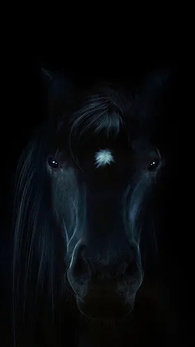 Лошади Красивые Обои на телефон черная лошадь с белыми пятнами