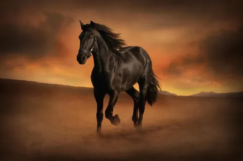 Лошади Красивые Обои на телефон лошадь, бегущая по пустыне