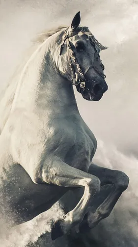 Лошади Красивые Обои на телефон статуя лошади