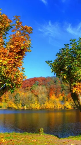 Октябрь Обои на телефон озеро с деревьями вокруг него