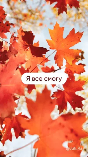 Октябрь Обои на телефон крупным планом некоторых листьев