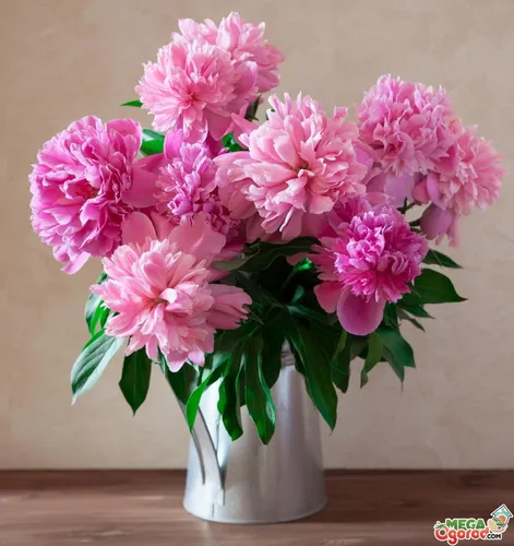 По Фен Шуй Обои на телефон ваза с розовыми цветами