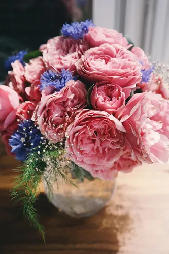 По Фен Шуй Обои на телефон ваза с розовыми и голубыми цветами