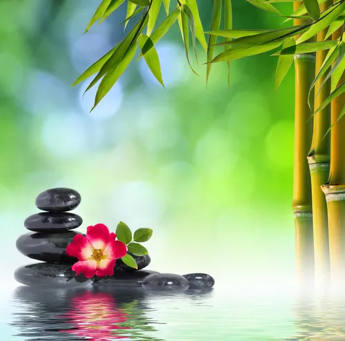 Релакс Обои на телефон цветок на стопке камней в воде