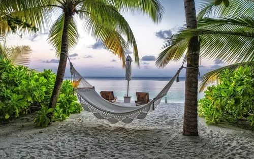 Релакс Обои на телефон гамак между пальмами на пляже