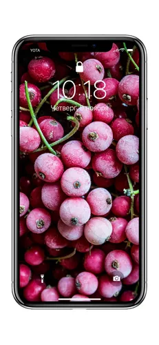 С Фруктами Обои на телефон корзина розового винограда