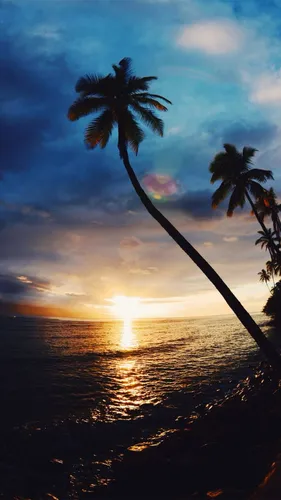 Солнце Обои на телефон закат над тропическим пляжем