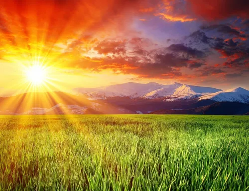 Солнце Обои на телефон травяное поле с горами на заднем плане