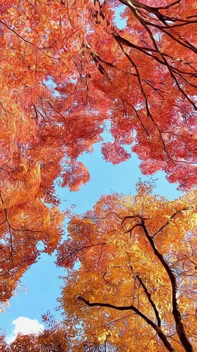 Природа Осень Обои на телефон карта