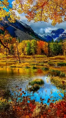 Природа Осень Обои на телефон озеро, окруженное деревьями и горами
