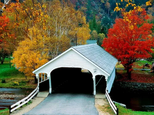 Природа Осень Обои на телефон здание с мостом над ним
