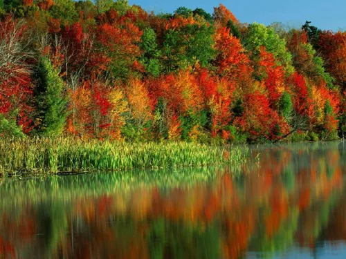 Природа Осень Обои на телефон картинки
