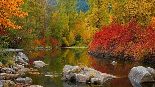 Природа Осень Обои на телефон река со скалами и деревьями вокруг нее
