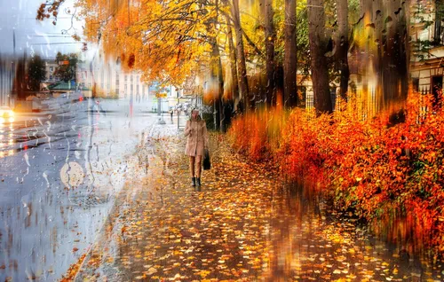Природа Осень Обои на телефон человек, идущий по мокрому тротуару