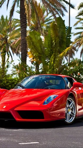Феррари Обои на телефон красный спортивный автомобиль, припаркованный перед пальмами