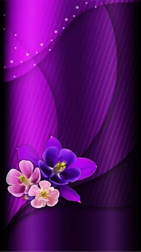 Фиолетовые Цветы Обои на телефон фиолетовые цветы на фиолетовом фоне