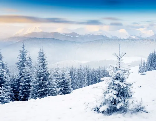 Фото Зима Обои на телефон снежная гора с деревьями
