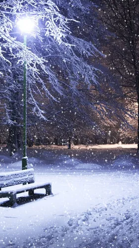 Фото Зима Обои на телефон снежный парк с деревьями
