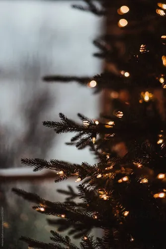 Фото Зима Обои на телефон дерево с огнями