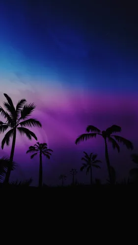Фото Красивые Обои на телефон пальмы и фиолетовое небо