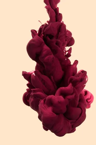 Цветной Дым Обои на телефон букет розовых цветов