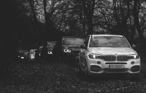 Бмв Х5 Обои на телефон группа автомобилей, припаркованных в ряд в лесистой местности
