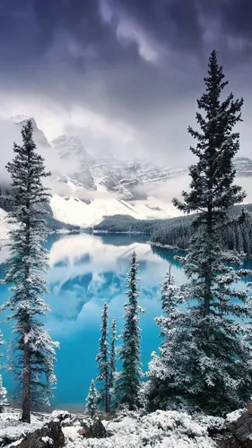 Зимние Пейзажи Обои на телефон озеро, окруженное снегом и деревьями