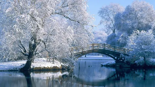 Зимние Пейзажи Обои на телефон мост через водоем с деревьями по обе стороны