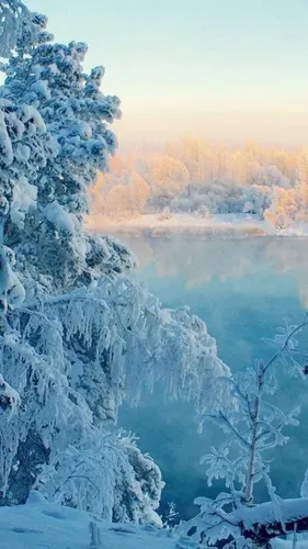Зимние Пейзажи Обои на телефон снимок