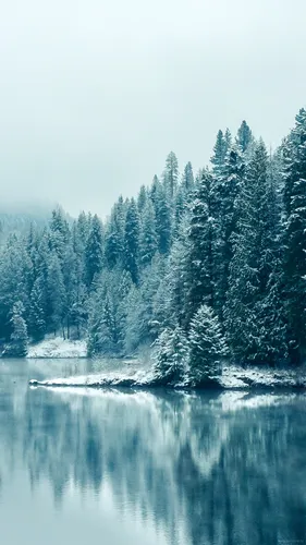 Зимние Пейзажи Обои на телефон озеро с деревьями и снегом