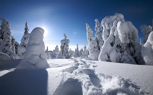 Зимние Пейзажи Обои на телефон фотография