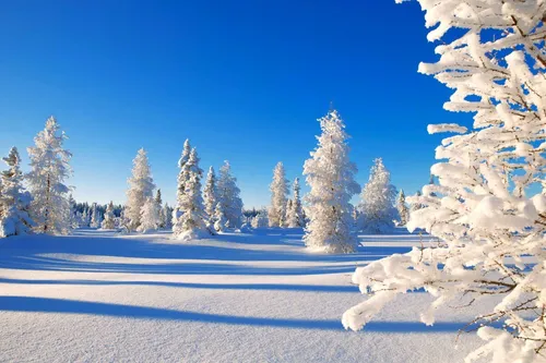 Зимние Пейзажи Обои на телефон фотография