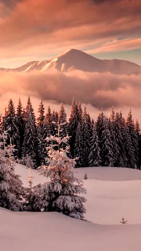 Зимние Пейзажи Обои на телефон снежный пейзаж с деревьями и горами на заднем плане